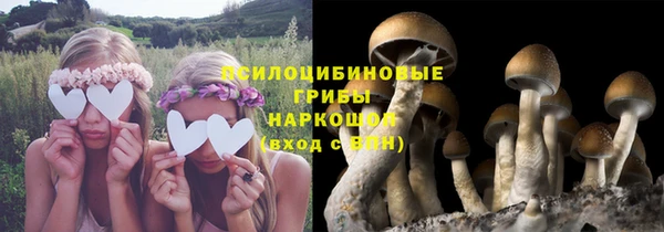 прущая мука Магадан
