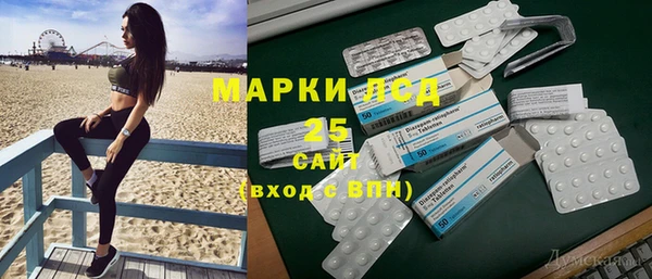 индика Медногорск