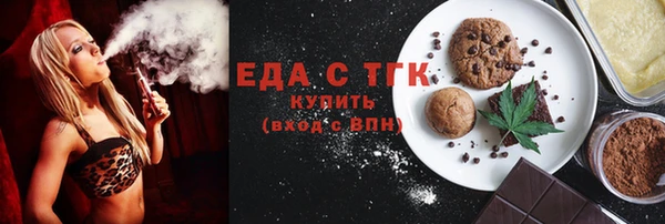 индика Медногорск