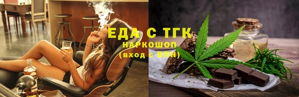 индика Медногорск