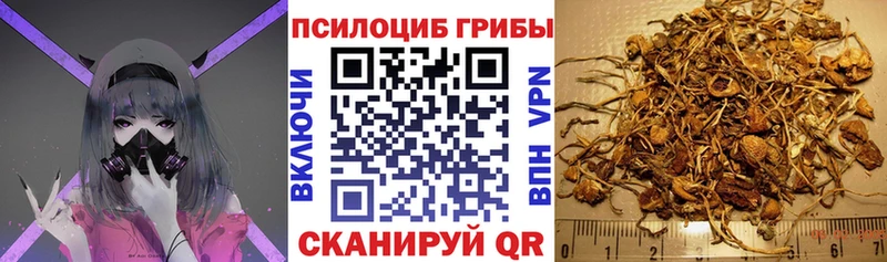 Галлюциногенные грибы мицелий  даркнет сайт  kraken tor  Омутнинск 